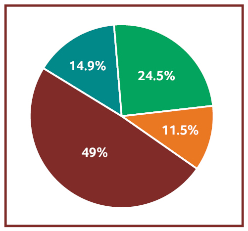 pie chart