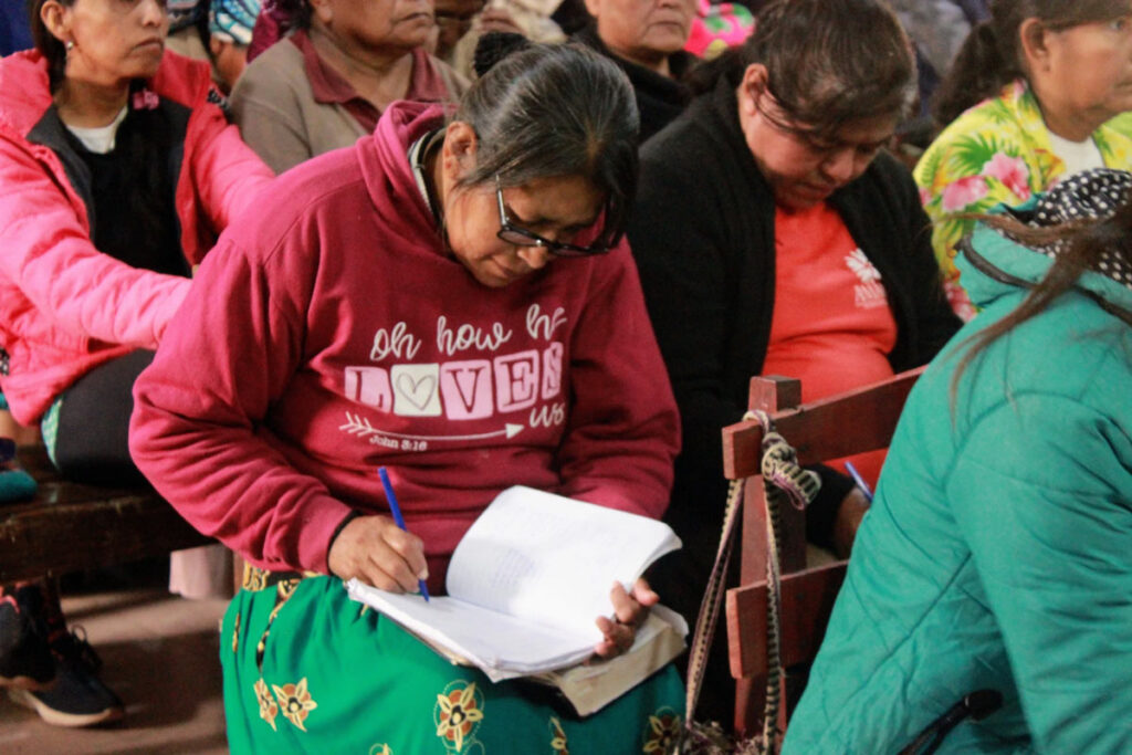 Indigenous woman makes notes at seminar