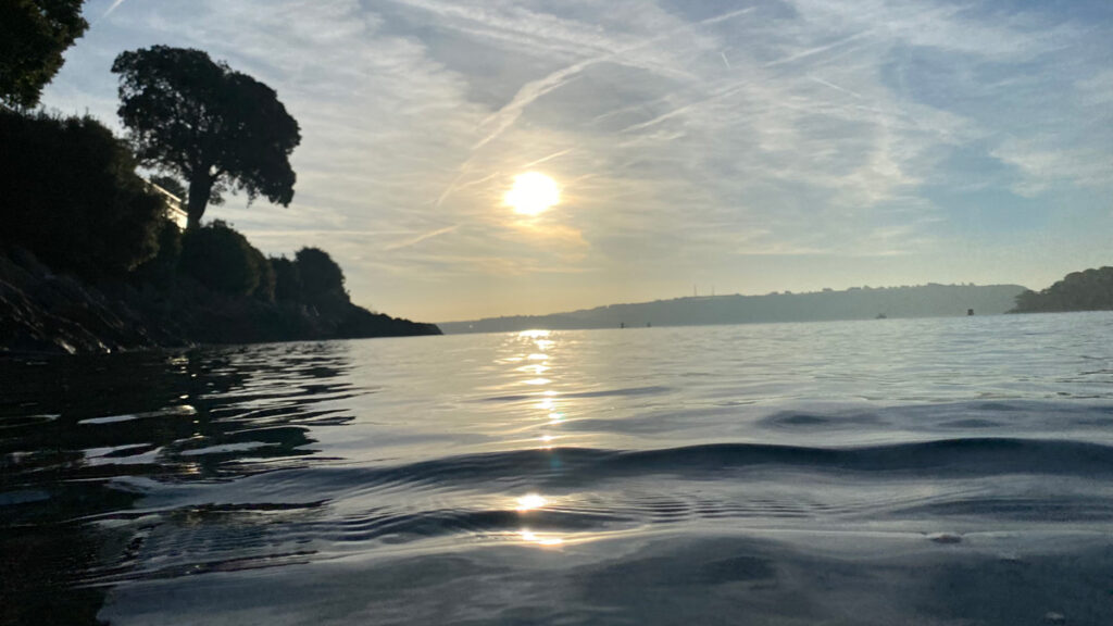 a water-level view of low sun over sea and trees on shoreline